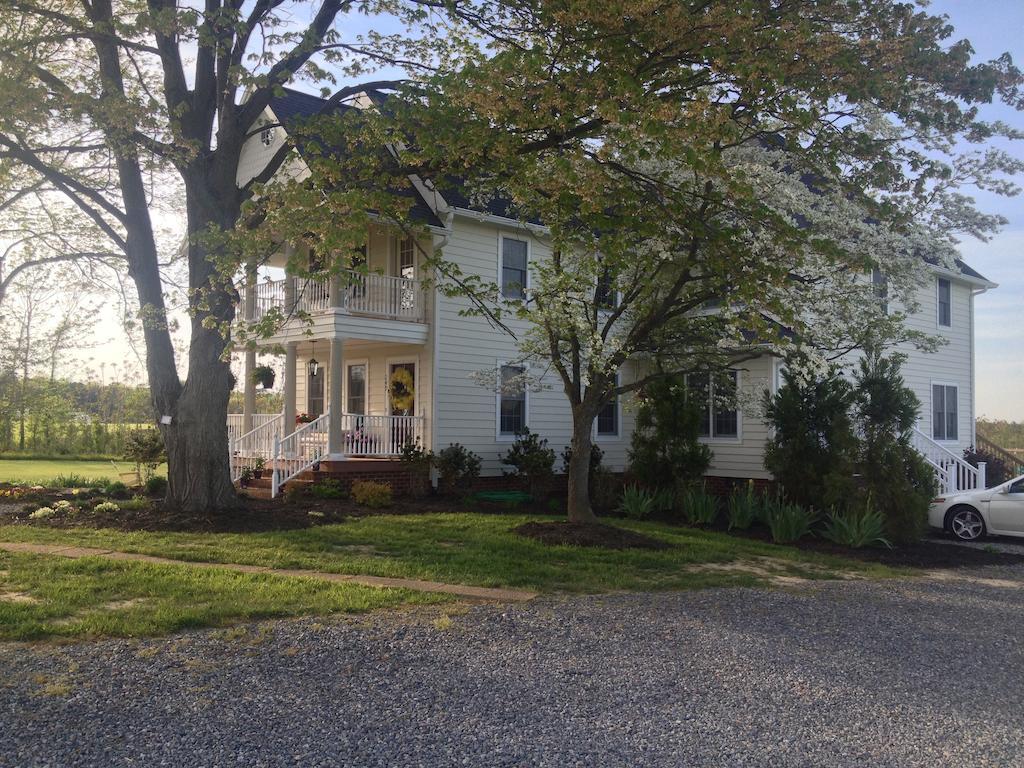 Ma Margarets House Bed And Breakfast Heathsville Eksteriør billede